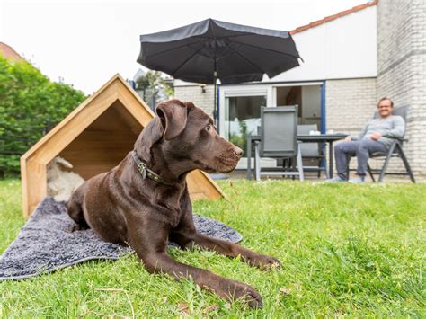 Weekendje weg met hond omheinde tuin 